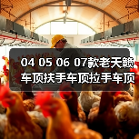 04 05 06 07款老天籁车顶扶手车顶拉手车顶把手顶棚原厂原装**（图1）