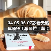 04 05 06 07款老天籁车顶扶手车顶拉手车顶把手顶棚原厂原装**（图4）