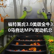 福特翼虎3.0美版金牛3.0马自达MPV发动机总成变速箱分动箱(图3) 福特翼虎3.0美版金牛3.0马自达MPV发动机总成变速箱分动箱(图3)