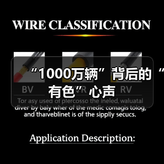 “1000万辆”背后的“有色”心声（图3）