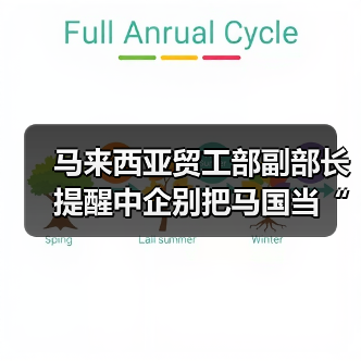 马来西亚贸工部副部长提醒中企别把马国当“洗产地”（图4）