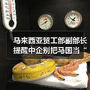 马来西亚贸工部副部长提醒中企别把马国当“洗产地”（图1）