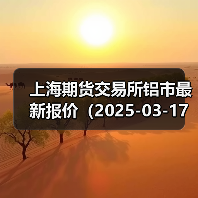 上海期货交易所铝市最新报价（2025-03-17 14:00）（图3）