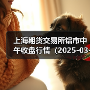 上海期货交易所铝市中午收盘行情（2025-03-17 11:33）（图4）