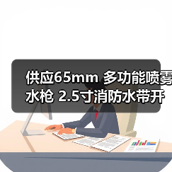 供应65mm 多功能喷雾水枪 2.5寸消防水带开花直流枪头 农用灌溉（图3）