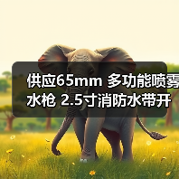 供应65mm 多功能喷雾水枪 2.5寸消防水带开花直流枪头 农用灌溉（图4）