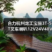 合力杭州龙工宝骊3T-5T叉车喇叭12V24V48V盆形喇叭3吨-5吨电喇叭（图3）