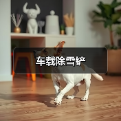 车载除雪铲（图4）