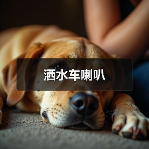 洒水车喇叭（图2）