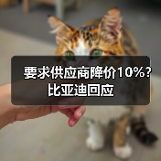 要求供应商降价10%？比亚迪回应（图2）
