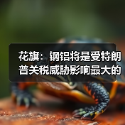 花旗：钢铝将是受特朗普关税威胁影响最大的金属（图4）