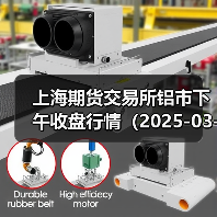 上海期货交易所铝市下午收盘行情（2025-03-14 15:03）（图4）