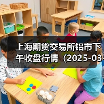 上海期货交易所铝市下午收盘行情（2025-03-14 15:03）（图2）