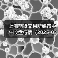 上海期货交易所铝市中午收盘行情（2025-03-14 11:33）（图4）