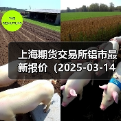 上海期货交易所铝市最新报价（2025-03-14 10:15）（图3）