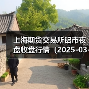 上海期货交易所铝市夜盘收盘行情（2025-03-13 01:03）（图2）