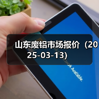 山东废铝市场报价（2025-03-13）（图2）