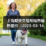 上海期货交易所铝市最新报价（2025-03-14 00:00）（图2）