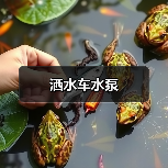 洒水车水泵（图1）