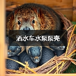 洒水车水泵泵壳（图2）
