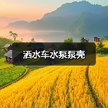 洒水车水泵泵壳（图4）