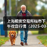 上海期货交易所铝市下午收盘行情（2025-03-13 15:03）（图3）