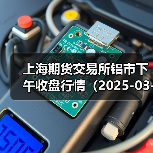 上海期货交易所铝市下午收盘行情(2025-03-13 15:03)(图1) 上海期货交易所铝市下午收盘行情(2025-03-13 15:03)(图1)