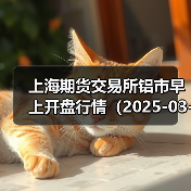 上海期货交易所铝市早上开盘行情(2025-03-13 09:03)(图4) 上海期货交易所铝市早上开盘行情(2025-03-13 09:03)(图4)