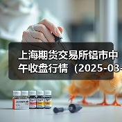上海期货交易所铝市中午收盘行情（2025-03-13 11:33）（图2）