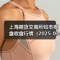 上海期货交易所铝市夜盘收盘行情（2025-03-12 01:03）（图2）