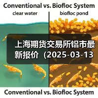 上海期货交易所铝市最新报价（2025-03-13 10:15）（图2）