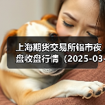 上海期货交易所铝市夜盘收盘行情(2025-03-12 01:03)(图4) 上海期货交易所铝市夜盘收盘行情(2025-03-12 01:03)(图4)