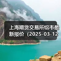 上海期货交易所铝市最新报价（2025-03-12 14:00）（图1）