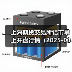 上海期货交易所铝市早上开盘行情（2025-03-12 09:03）（图3）