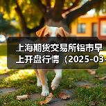 上海期货交易所铝市早上开盘行情（2025-03-12 09:03）（图2）