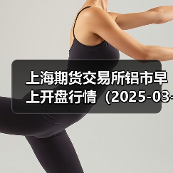 上海期货交易所铝市早上开盘行情(2025-03-12 09:03)(图4) 上海期货交易所铝市早上开盘行情(2025-03-12 09:03)(图4)