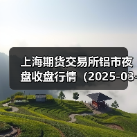 上海期货交易所铝市夜盘收盘行情（2025-03-11 01:03）（图3）