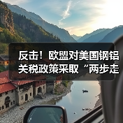 反击!欧盟对美国钢铝关税政策采取“两步走”反制措施(图4) 反击!欧盟对美国钢铝关税政策采取“两步走”反制措施(图4)