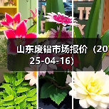 山东废铝市场报价(2025-04-16)(图3) 山东废铝市场报价(2025-04-16)(图3)