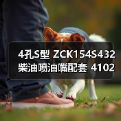 4孔S型 ZCK154S432 柴油喷油嘴配套 4102 4110 4** 1** 1105（图1）