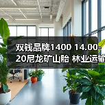 双钱品牌1400 14.00-20尼龙矿山胎 林业运输车载重卡车三包（图2）