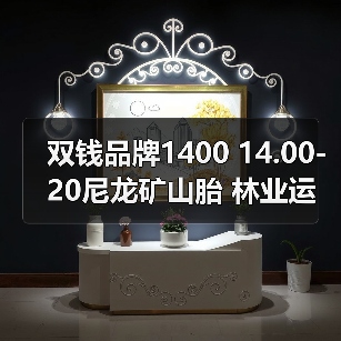 双钱品牌1400 14.00-20尼龙矿山胎 林业运输车载重卡车三包（图3）