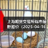 上海期货交易所铝市最新报价（2025-04-16 10:15）（图4）