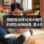 特朗普排除对澳大利亚的钢铁关税豁免 澳大利亚：“感到失望”（图2）