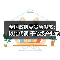 全国政协委员唐俊杰:以铝代铜 千亿级产业的国际领先战略(图1) 全国政协委员唐俊杰:以铝代铜 千亿级产业的国际领先战略(图1)
