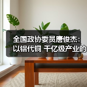 全国政协委员唐俊杰:以铝代铜 千亿级产业的国际领先战略(图3) 全国政协委员唐俊杰:以铝代铜 千亿级产业的国际领先战略(图3)