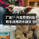 厂家** 汽车用塑料脚垫 轿车通用防水脚垫 塑胶橡胶乳胶脚垫（图4）