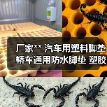 厂家** 汽车用塑料脚垫 轿车通用防水脚垫 塑胶橡胶乳胶脚垫（图2）