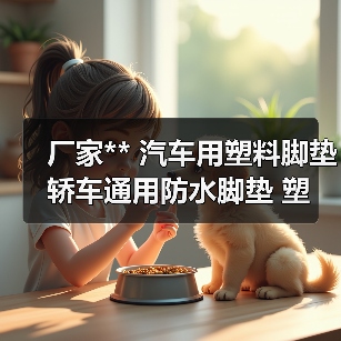 厂家** 汽车用塑料脚垫 轿车通用防水脚垫 塑胶橡胶乳胶脚垫（图3）