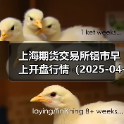 上海期货交易所铝市早上开盘行情（2025-04-14 09:03）（图1）